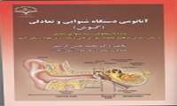 آناتومی دستگاه شنوایی و تعادلی گوش
